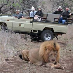 A DREAM PHOTO SAFARI