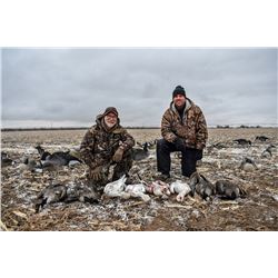CANADIAN AND SNOW GOOSE IN COLORADO FOR TWO (2) HUNTERS
