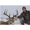 Image 2 : Buckbrush Outfitters – Trophy Archery Whitetail and Mule Deer Combination Hunt – Alberta, Canada