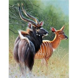 “Elegant Couple” Framed Original 11X14 Nyalas by Cynthie Fisher