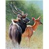 Image 1 : “Elegant Couple” Framed Original 11X14 Nyalas by Cynthie Fisher