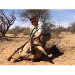 Namibia - Jan Oelofse Hunting Safaris – Gemsbok, Blue Wildebeest, Springbok, Warthog, Impala, adult