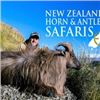 Image 1 : New Zealand Horn & Antlers Tahr Hunt
