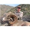 Image 1 : Free Range Desert Sheep from Coues Outfitters