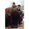 Image 1 : Montana Bison Company LLC Bison Hunt