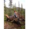 Image 1 : 6-Day Moose/Black Bear/Mule Deer/Whitetail/Wolf/Wolverine/Bird Hunt