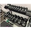 Image 1 : NORTHERN LIGHTS 2 TIER WEIGHT RACK WITH ASSORTED DUMB BELLS