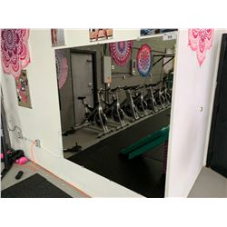 3 LARGE GYM WALL MIRRORS