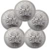 Image 1 : Lot of 5 Canadian Silver Maple Leaf's Random years