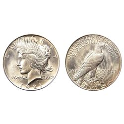 KEY DATE 1921 BU Peace Silver Dollar