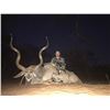 Image 9 : PHASA - Pick your own animals for 2 hunters