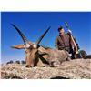 Image 9 : PHASA - Bow and Crossbow Hunt