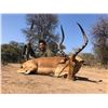 Image 2 : PHASA - Limpopo Hunt and Taxidermy credit for 4 Hunters