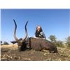 Image 3 : PHASA - Limpopo Hunt and Taxidermy credit for 4 Hunters