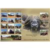 Image 5 : PHASA - Cape Buffalo hunt