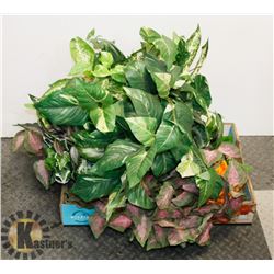 FLAT OF ARTIFICIAL PLANTS AND HANGERS.