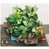 Image 1 : FLAT OF ARTIFICIAL PLANTS AND HANGERS.