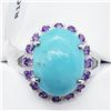 Image 1 : Turquoise Amethyst Ring (~weight 5g), Made in Canada, Suggested Retail Value $400 (Estimated Selling