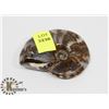Image 1 : AMMONITE FOSSIL