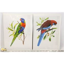 BUNDLE OF PARROT PRINTS