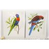 Image 1 : BUNDLE OF PARROT PRINTS
