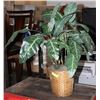 Image 1 : ARTIFICIAL PLANT