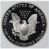 Image 2 : 2000-P AMERICAN SILVER EAGLE