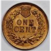 Image 2 : 1901 INDIAN CENT