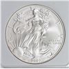 Image 1 : 2007-W AMERICAN SILVER EAGLE