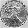 Image 1 : 2019 AMERICAN SILVER EAGLE