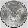 Image 2 : 2019 AMERICAN SILVER EAGLE