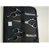 Image 2 : ARNA 3 PIECE HAIR SCISSOR KIT