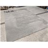 Image 1 : LARGE AREA RUG