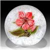 Image 1 : Victor Trabucco 1999 Lily Paperweight