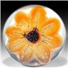 Image 1 : Duam Crystal Low-domed Amber Flower Paperweight 