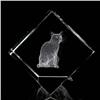 Image 1 : Image 3 Crystal Laser Kitty by Fyodor Lebedev 