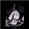 Image 3 : Image 3 Crystal Laser Kitty by Fyodor Lebedev 