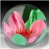 Kanawha Glass Pink Crimp Lily Paperweight