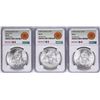 Image 1 : Lot of 1977Mo-1979Mo Mexico 100 Pesos Silver Coins NGC MS64