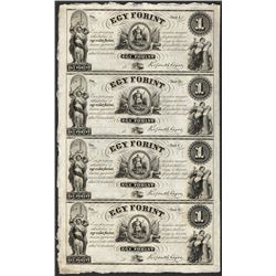 Uncut Sheet of 1800's $1 Ket Forint Obsolete Notes