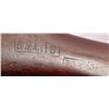 Image 9 : U.S. Winchester Model 1917 San Antonio Arsenal