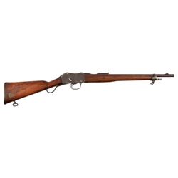 Martini-Enfield Carbine .303
