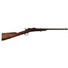 Image 1 : Remington Rolling Block Carbine