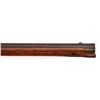 Image 8 : Full Stock Percussion Musket