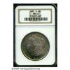1881-S S$1 MS67 NGC. The otherwise iridescent-pin