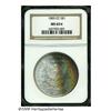 1885-CC S$1 MS65 S NGC. Well struck, lustrous, an