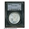 1885-CC S$1 MS65 PCGS. Appealing frosty-grey Gem 