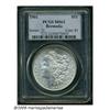 Image 3 : 1901 S$1 MS62 PCGS. Ex: Bermuda Collection. A sol