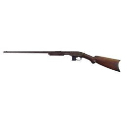 Savage Model 1903 Take Down