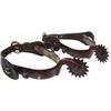 Image 2 : Antique Western Spurs